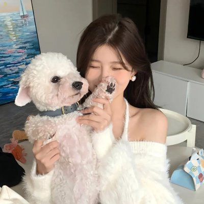 职业大贼
